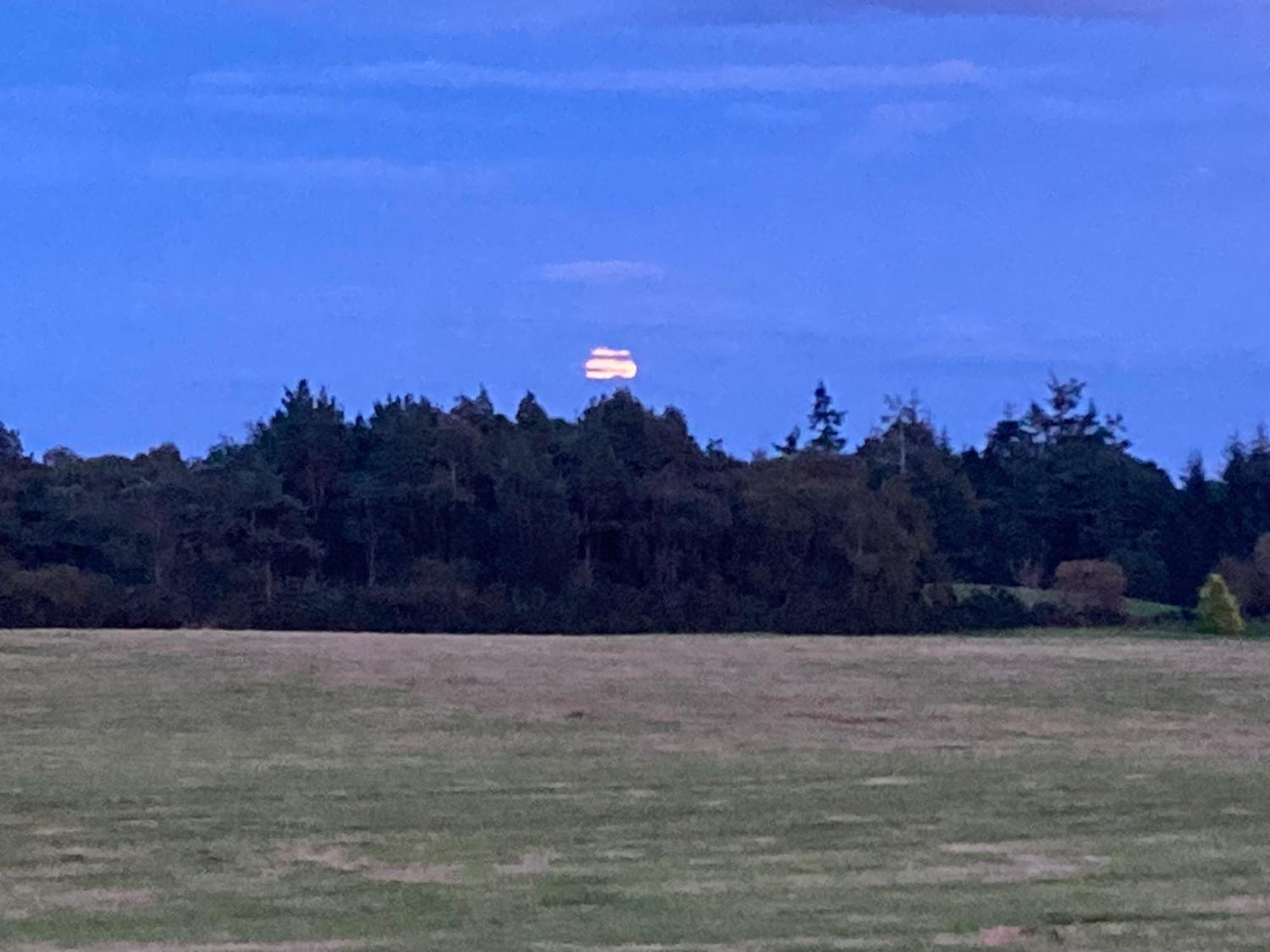 Clashmore Wood Dornoch Bagian luar foto