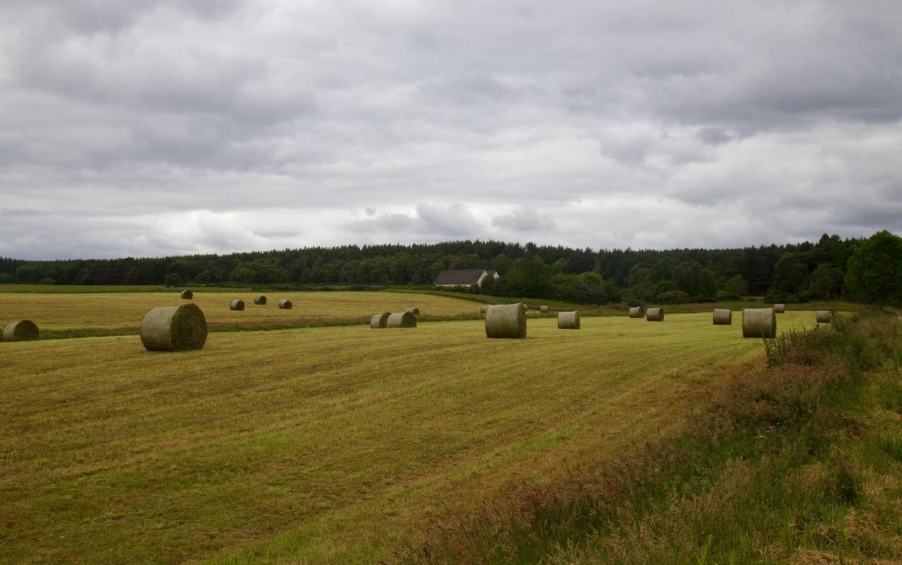 Clashmore Wood Dornoch Bagian luar foto