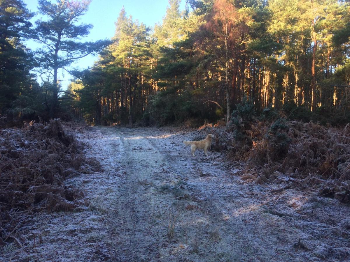 Clashmore Wood Dornoch Bagian luar foto